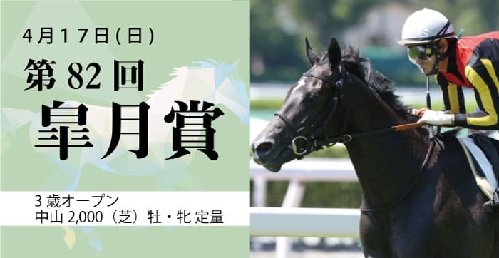 第82回 皐月賞（GⅠ）3歳オープン2,000（芝）牡・牝 定量 過去データバナー