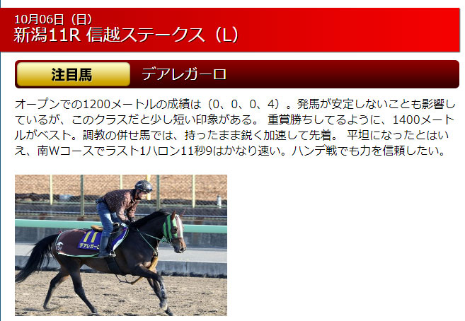 匠の万馬券、無料情報、激鉄板注目馬、10月06日（日）新潟11R 信越ステークス（L）注目馬：デアレガーロ