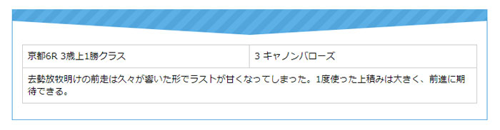 FLAG、無料情報、明日の狙い馬、京都6R 3歳上1勝クラス、3.キャノンバローズ