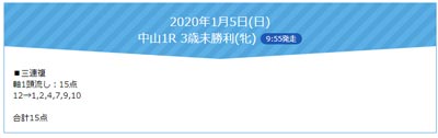 FLAG、無料買い目情報（日曜）2020年1月5日(日)中山1R 3歳未勝利(牝) 
