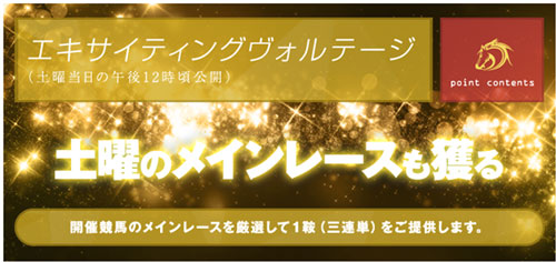 エキサイティングヴォルテージ画像