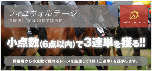 フィユヴォルテージ画像