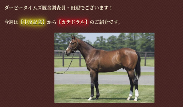 ヤリ気配を見抜く予想中京記念のカテドラル画像