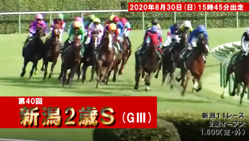 第40回 新潟2歳ステークス（GⅢ）15時45分出走 新潟11R2歳オープン1,600（芝・外）